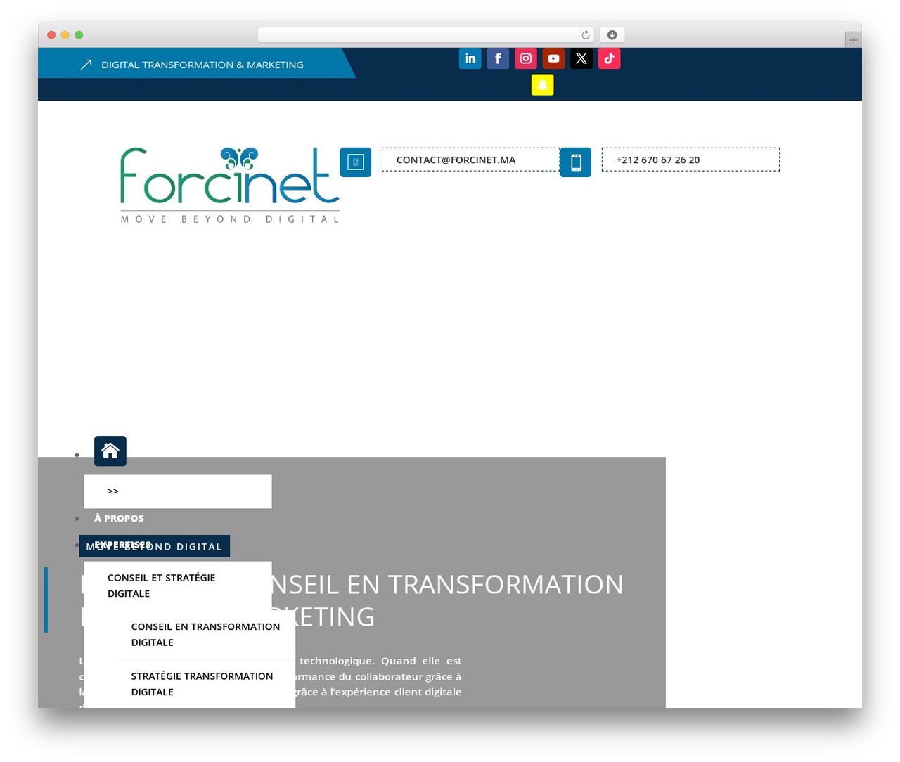 Consulting Divi Theme theme WordPress - www.forcinet.ma Consulting Divi Theme theme WordPress - www.forcinet.ma