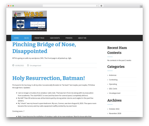 FlatOn Pro WordPress theme - ws3s.net