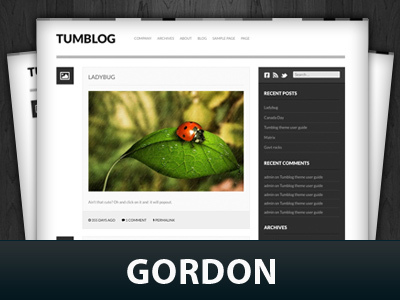 Gordon WordPress theme design