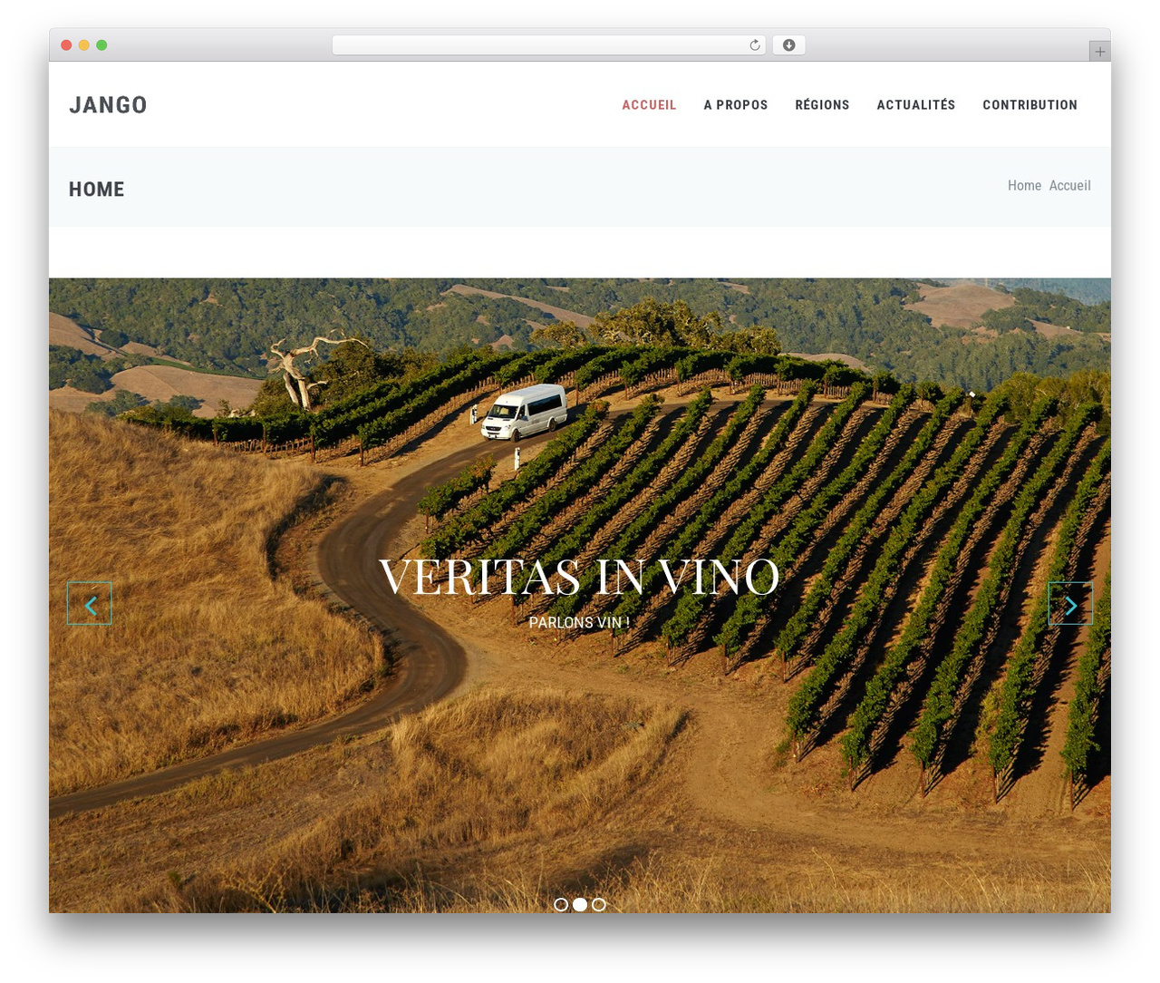 JANGO WordPress theme - veritasinvino.fr