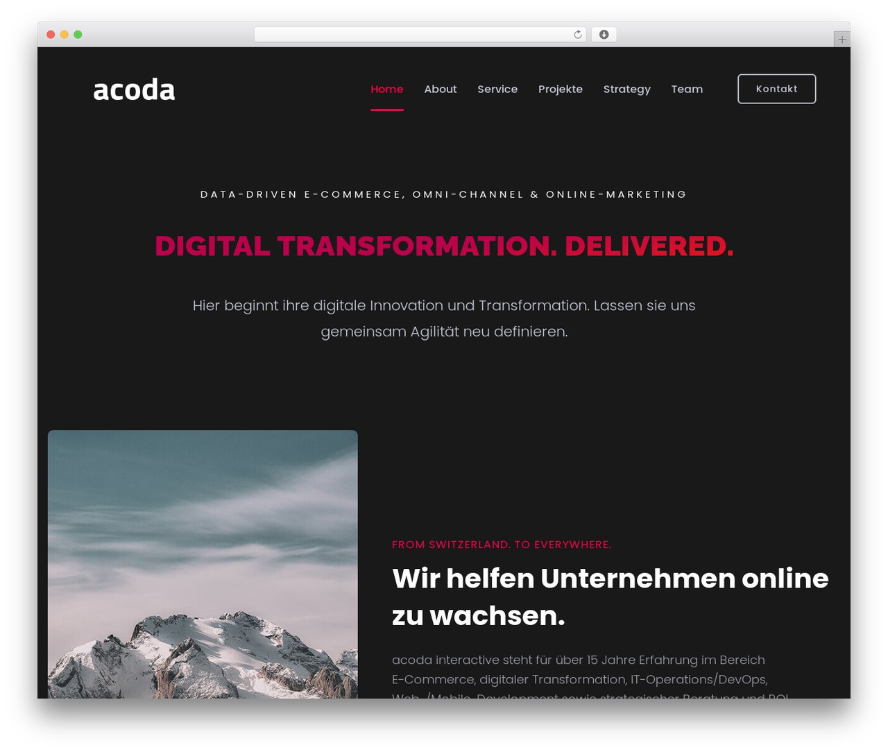 Best WordPress theme Trydo - acoda.ch