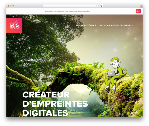 Iris sso instagram WordPress plugin - iris-interactive.fr/wp-signup.php?new=iris-interactive.fr