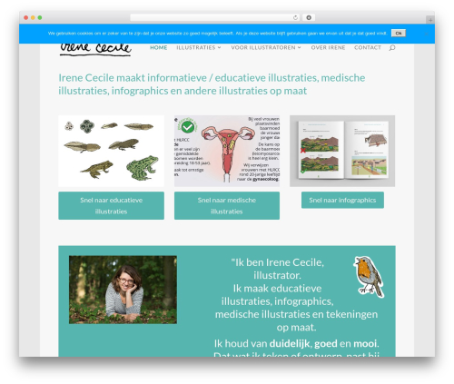 Ds gravity forms for divi WordPress plugin - irenececile.com