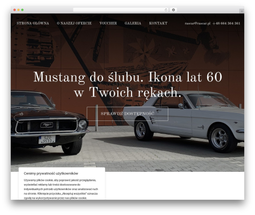 WordPress theme Dotspice.com - rascar.pl