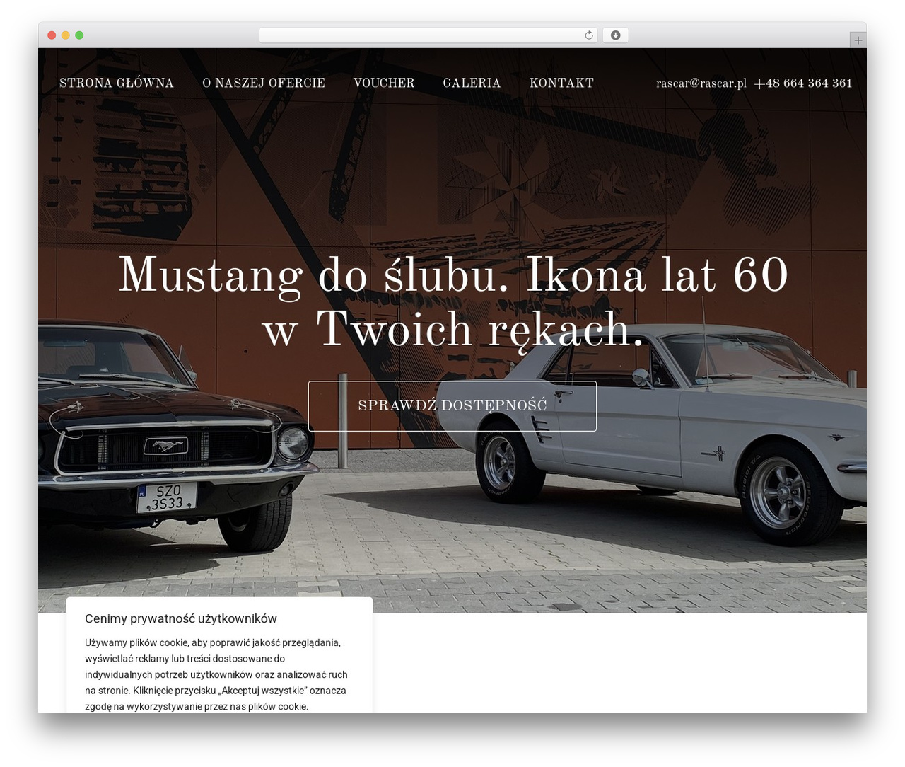 WordPress theme Dotspice.com - rascar.pl