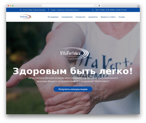 WordPress theme WellSpring - vitavertebra.com