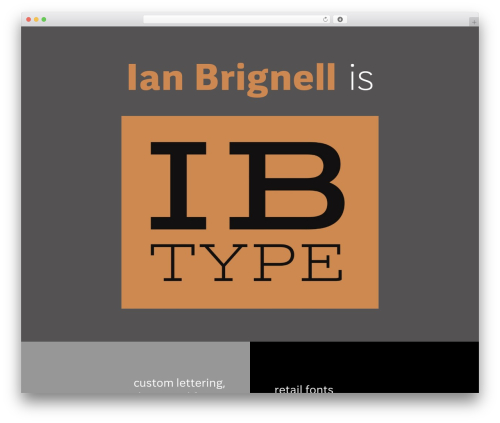 RMTheme WP theme - ibtype.com