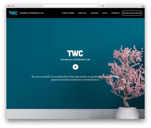 Dzs videogallery WordPress plugin - wealthconservancy.com