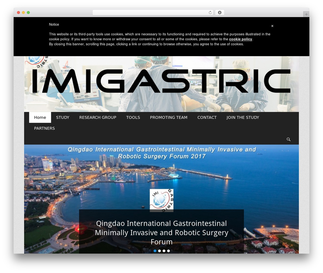 WP theme Catch Responsive Pro - imigastric.com WP theme Catch Responsive Pro - imigastric.com