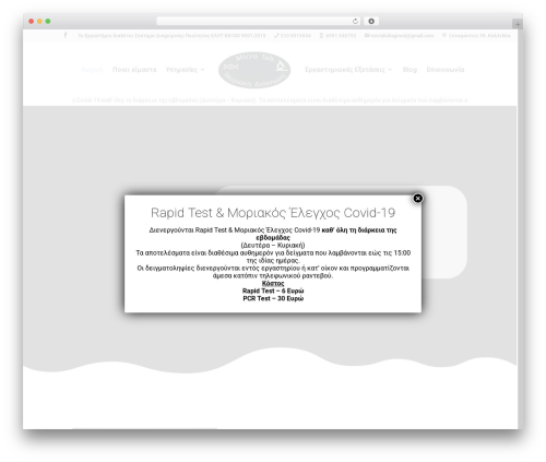 Divi WordPress page theme - microlab.gr
