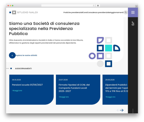 Studio Naldi WordPress theme - studionaldi.com
