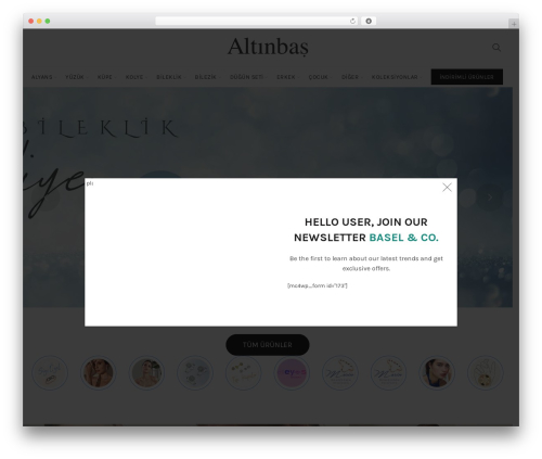 WordPress theme Webfili - alanya-altinbas.com