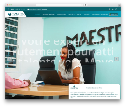 Agencies WordPress theme - maestria-r.com
