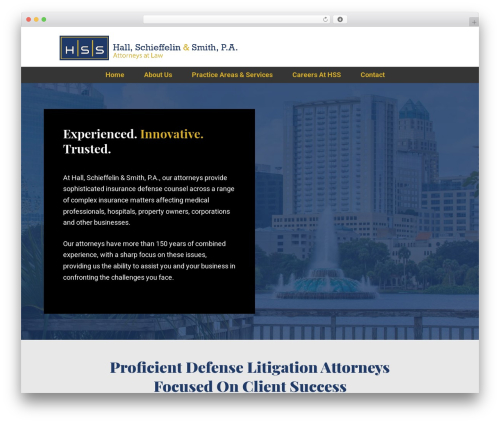 Theme WordPress Divi - hsslawgroup.com