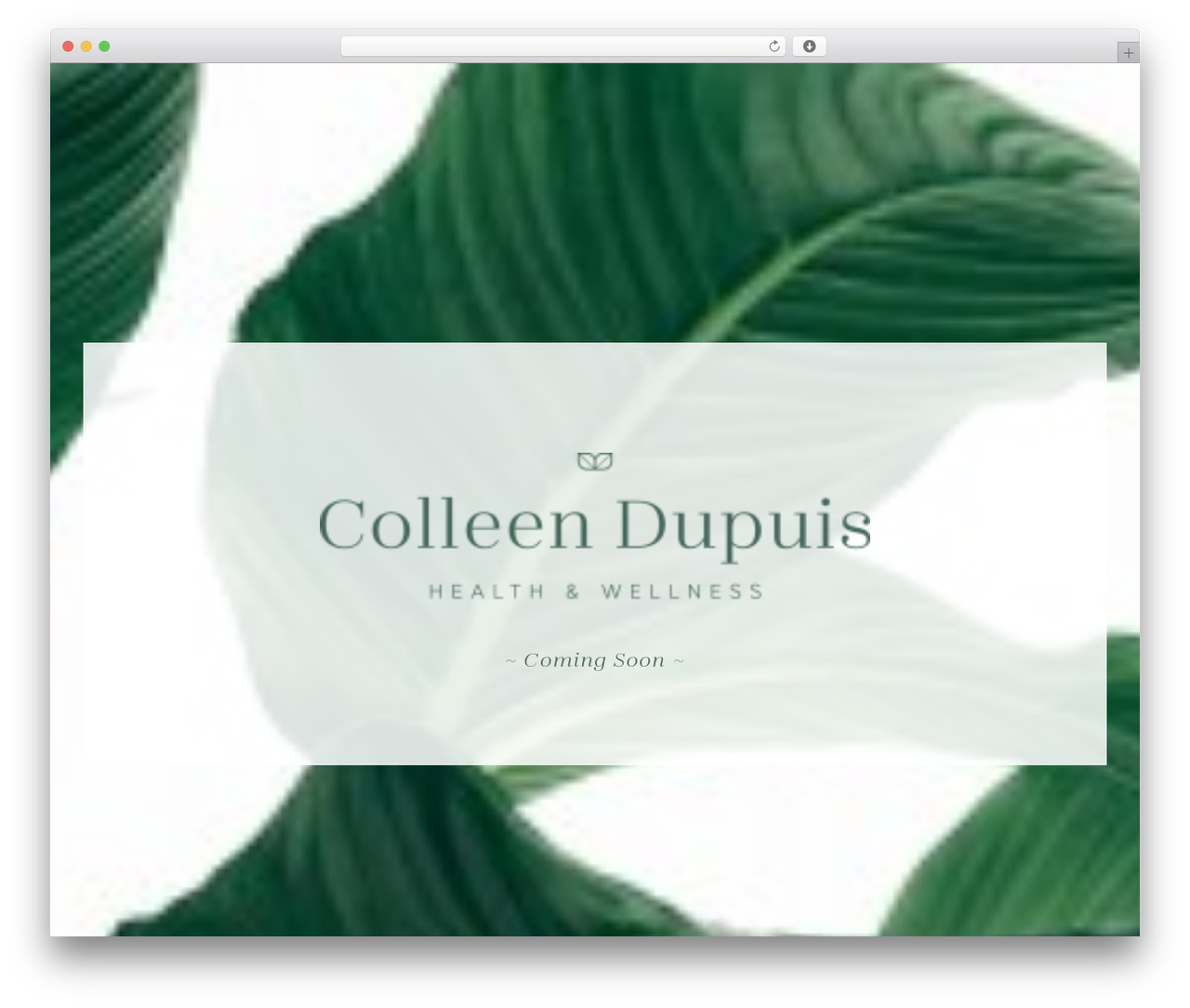 Uncode Child WordPress theme - colleendupuis.com