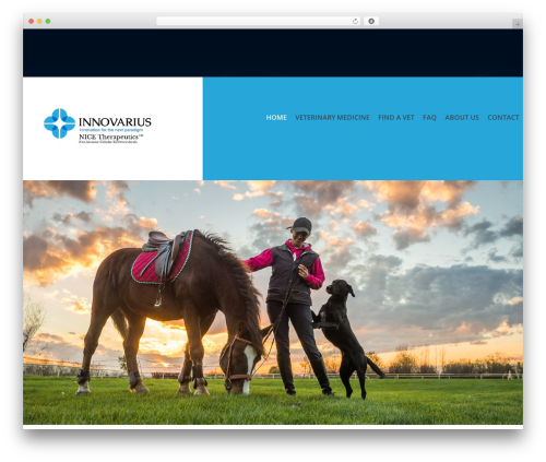WordPress theme cherry - innovarius.co.uk