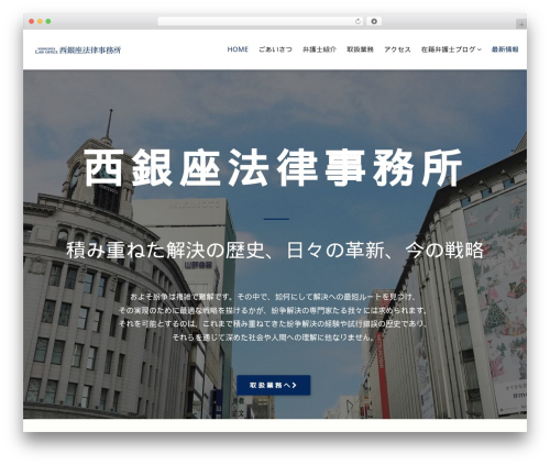 Tt plugin WordPress plugin - nishiginzalaw.com