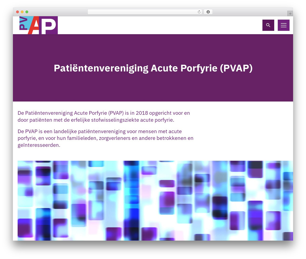 WordPress theme PVAP - pvap.nl WordPress theme PVAP - pvap.nl