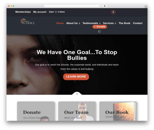 Divi WordPress theme - subduethebully.org