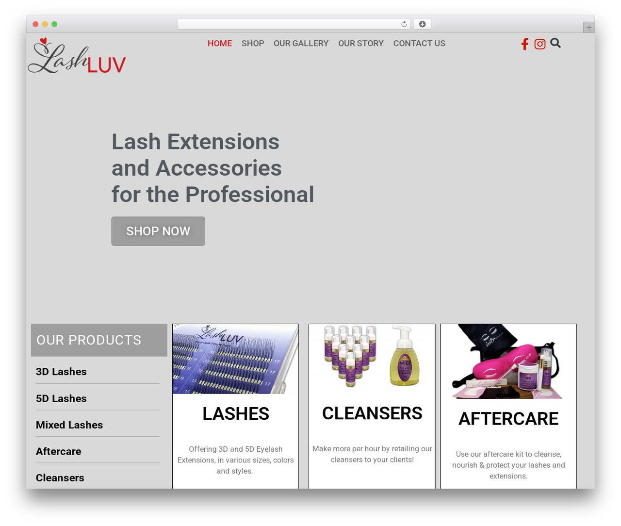 ELEMENTOR UNDERSCORES theme WordPress - lashluv.net