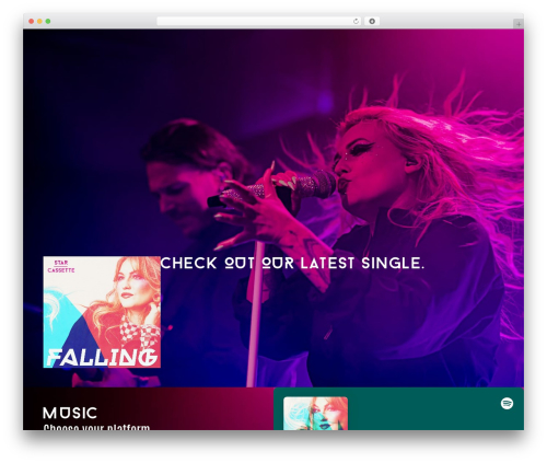 Tiktok feeds pro WordPress plugin - starcassette.com