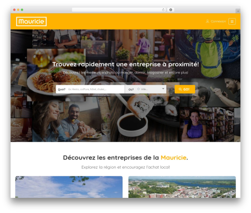 Seo repair kit WordPress plugin - mauricie.co