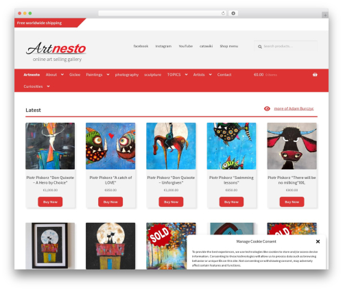 Best WordPress theme Storefront - artnesto.com