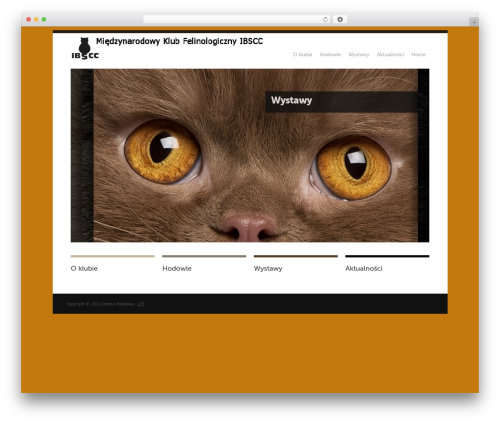 Echoes Wordpress Theme best WordPress theme - ibscc.pl