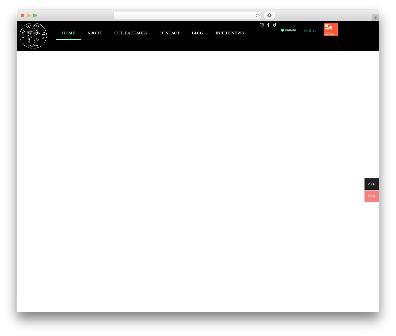 WordPress theme Hello Elementor - triptosocotra.com