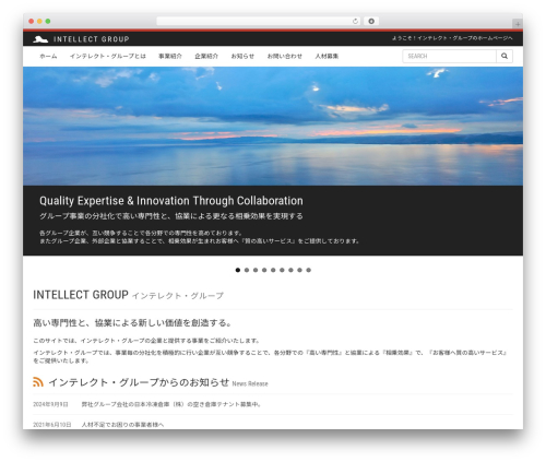 WordPress theme Intellect Group - intellect-grp.com
