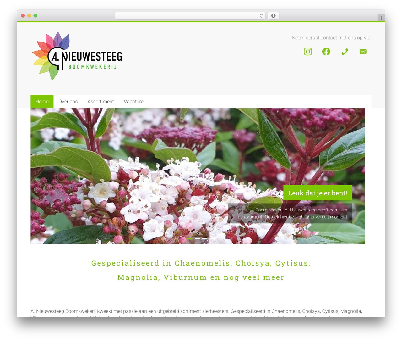 Accelerate WordPress theme - anieuwesteeg.nl Accelerate WordPress theme - anieuwesteeg.nl