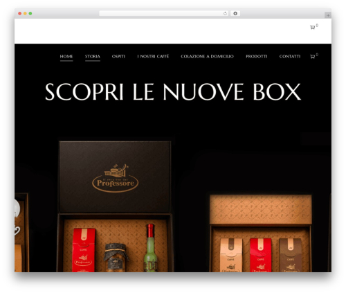 Store closing WordPress plugin - ilverobardelprofessore.com