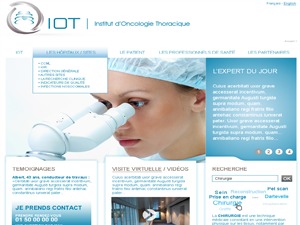 IOT WordPress theme image