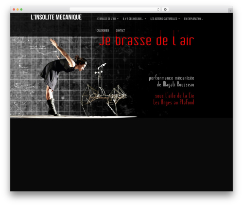 Lensa WordPress theme - insolitemecanique.com