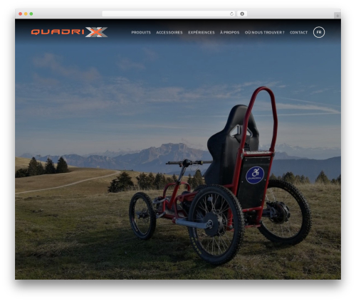 Walt wp framework WordPress plugin - quadrix-team.com