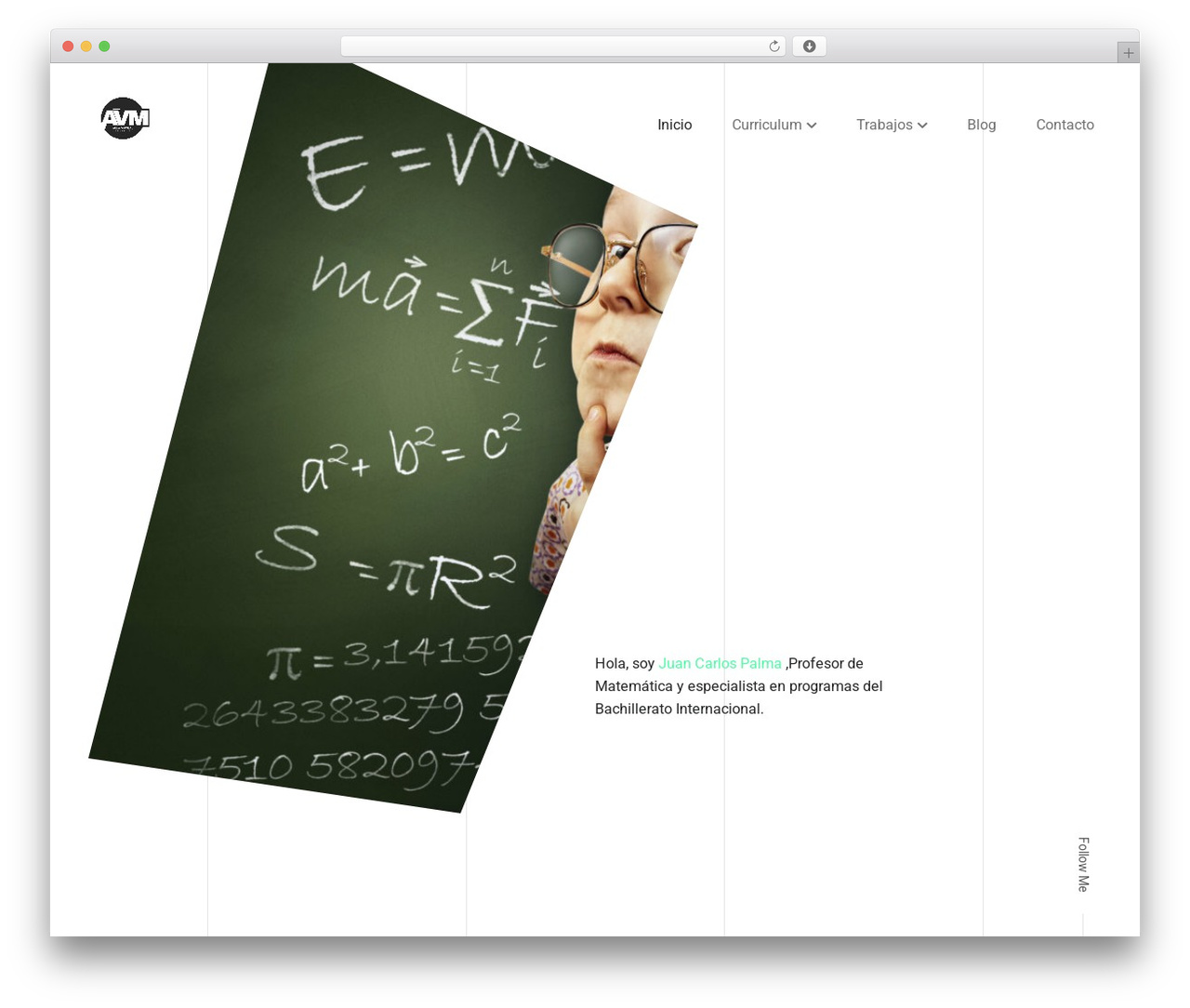 Cvio WordPress theme - avm.cl