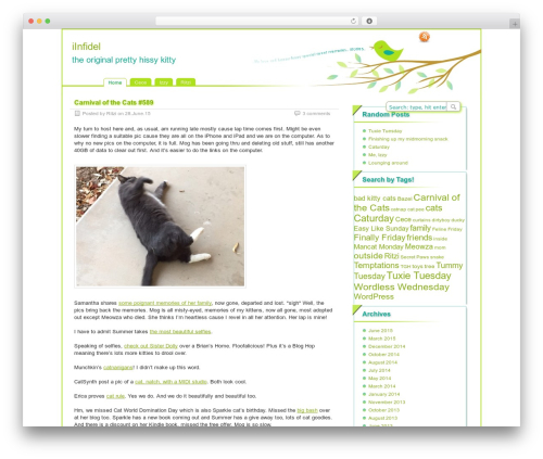 Auto thickbox plus WordPress plugin - iinfidel.com