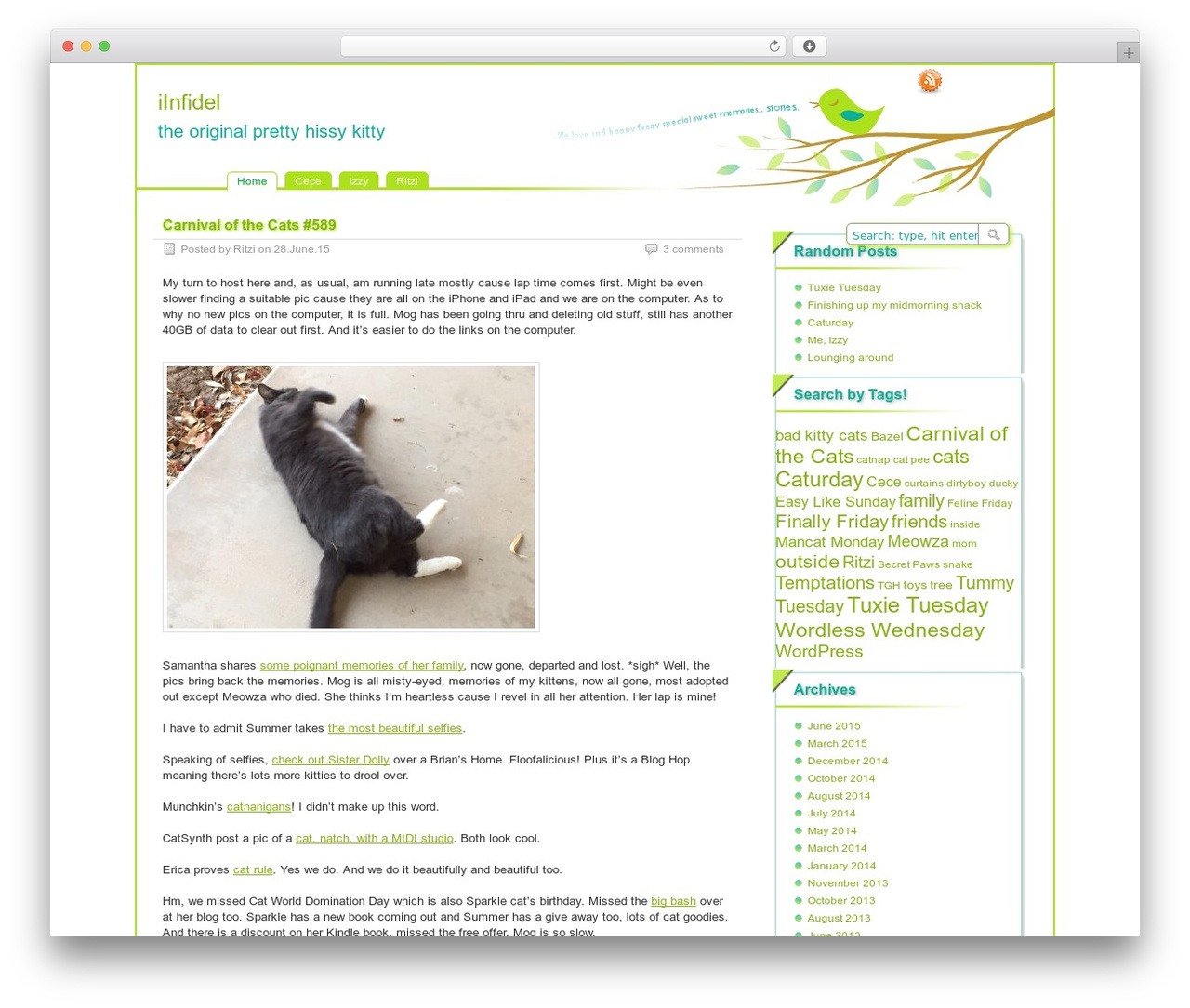 paramitopia WP theme - iinfidel.com