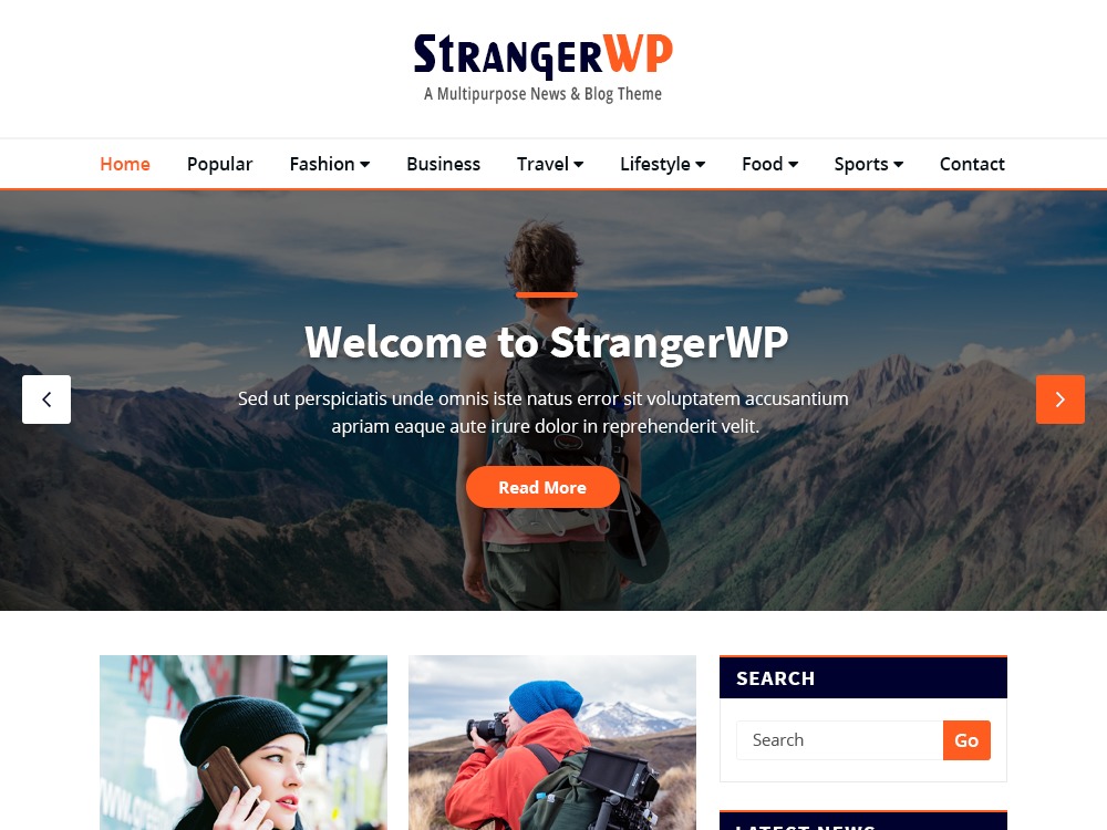 StrangerWP personal WordPress theme