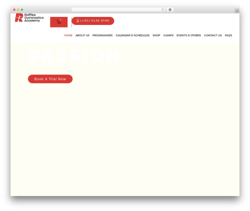 Theme WordPress Hello Elementor - rafflesgymnastics.com