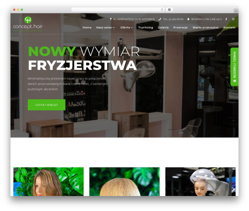 WordPress theme Mabelle - concepthair.pl