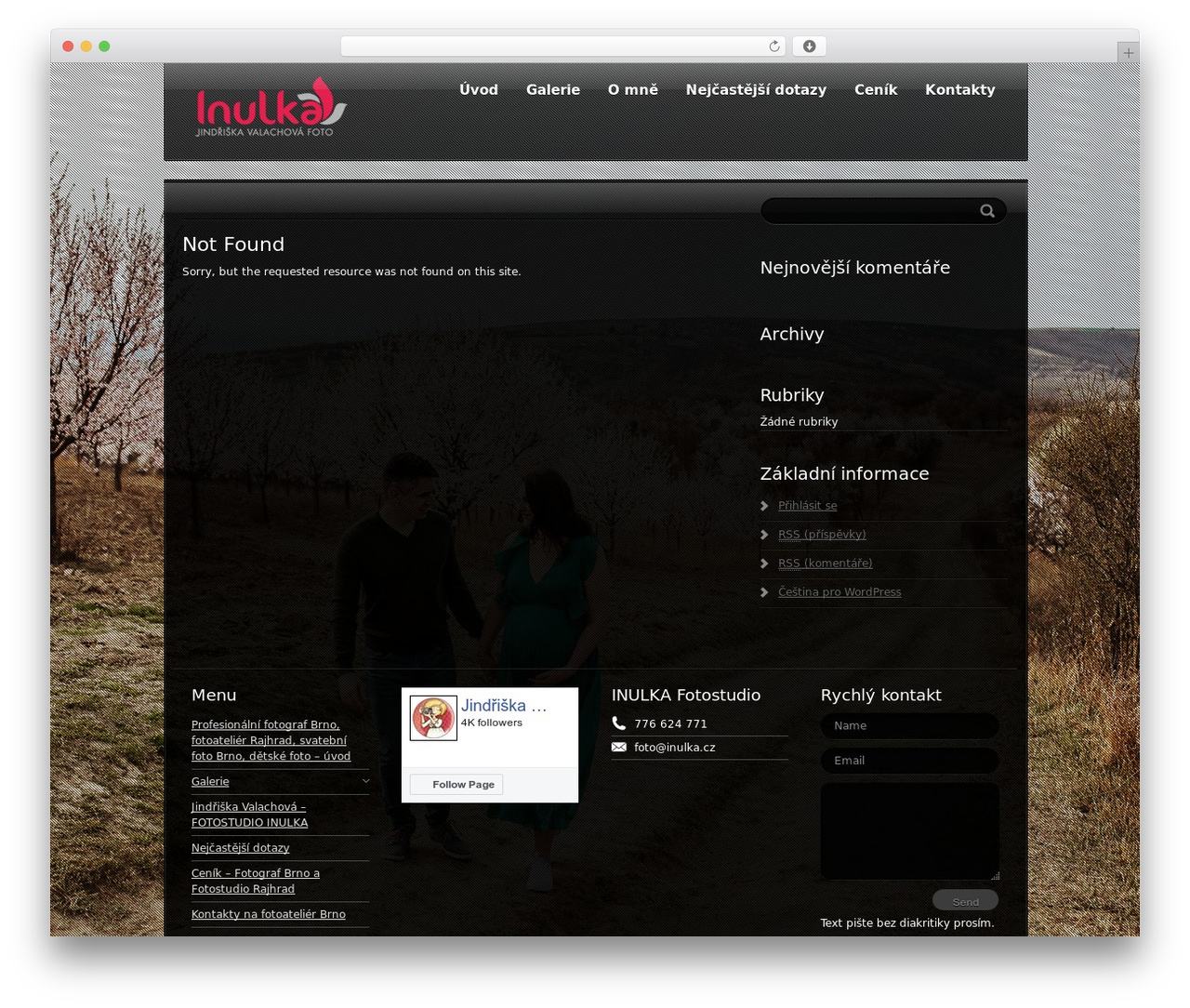 Apolo top WordPress theme - inulka.cz Apolo top WordPress theme - inulka.cz