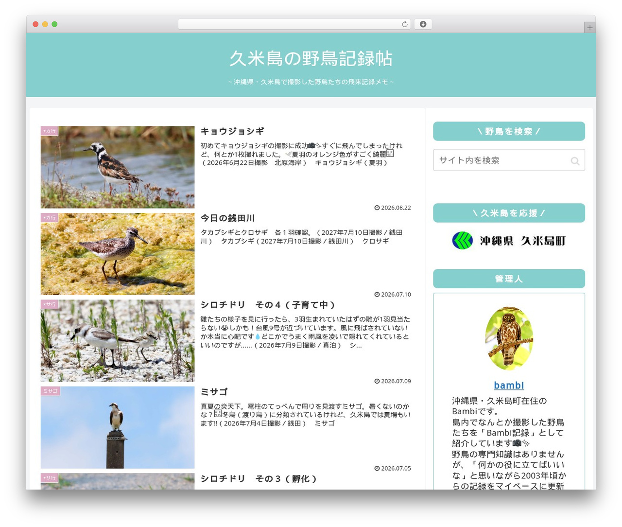 Cocoon WordPress theme - blue-bambi.com Cocoon WordPress theme - blue-bambi.com