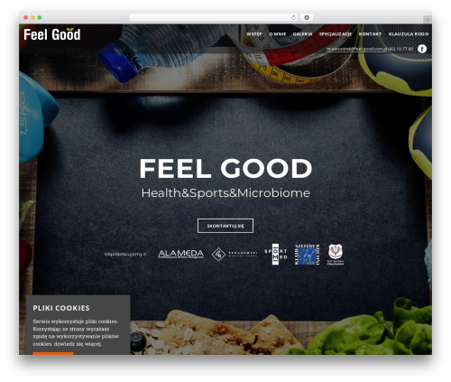 Best WordPress theme WP FRAMEWORK THEME - feel-good.com.pl