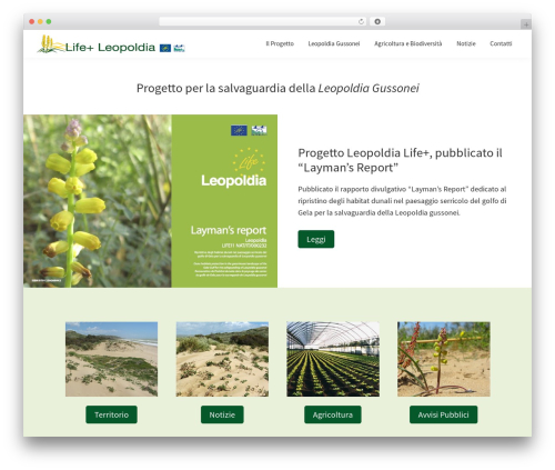 Pretty file list pro WordPress plugin - leopoldia.eu