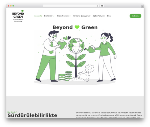 Romethemeform WordPress plugin - beyondgreendanismanlik.com