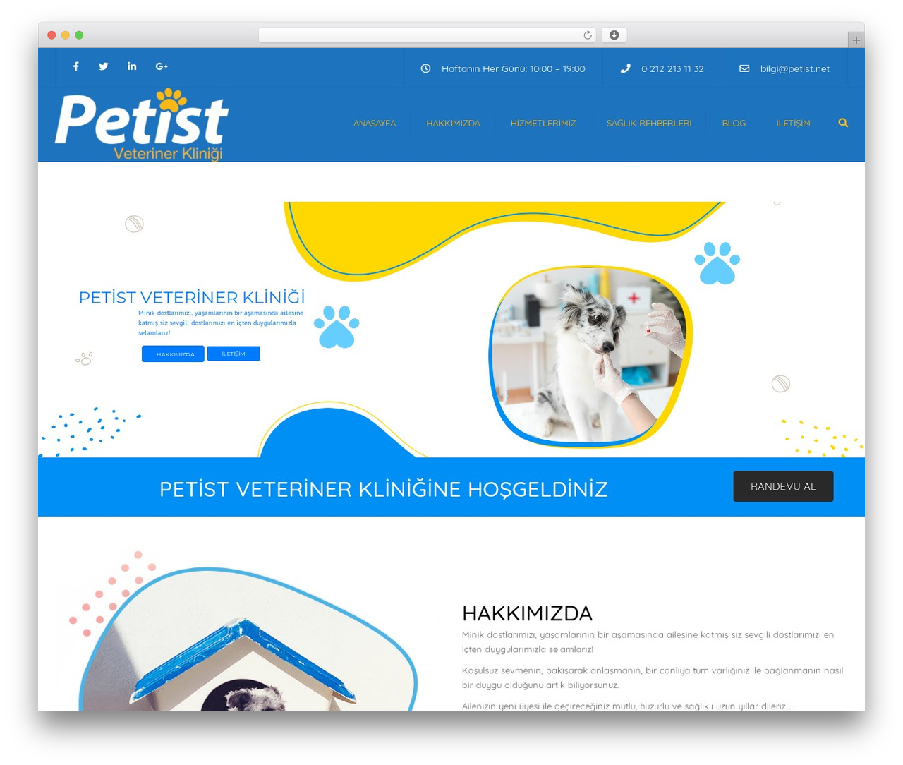 Theme WordPress Constructo - petist.net