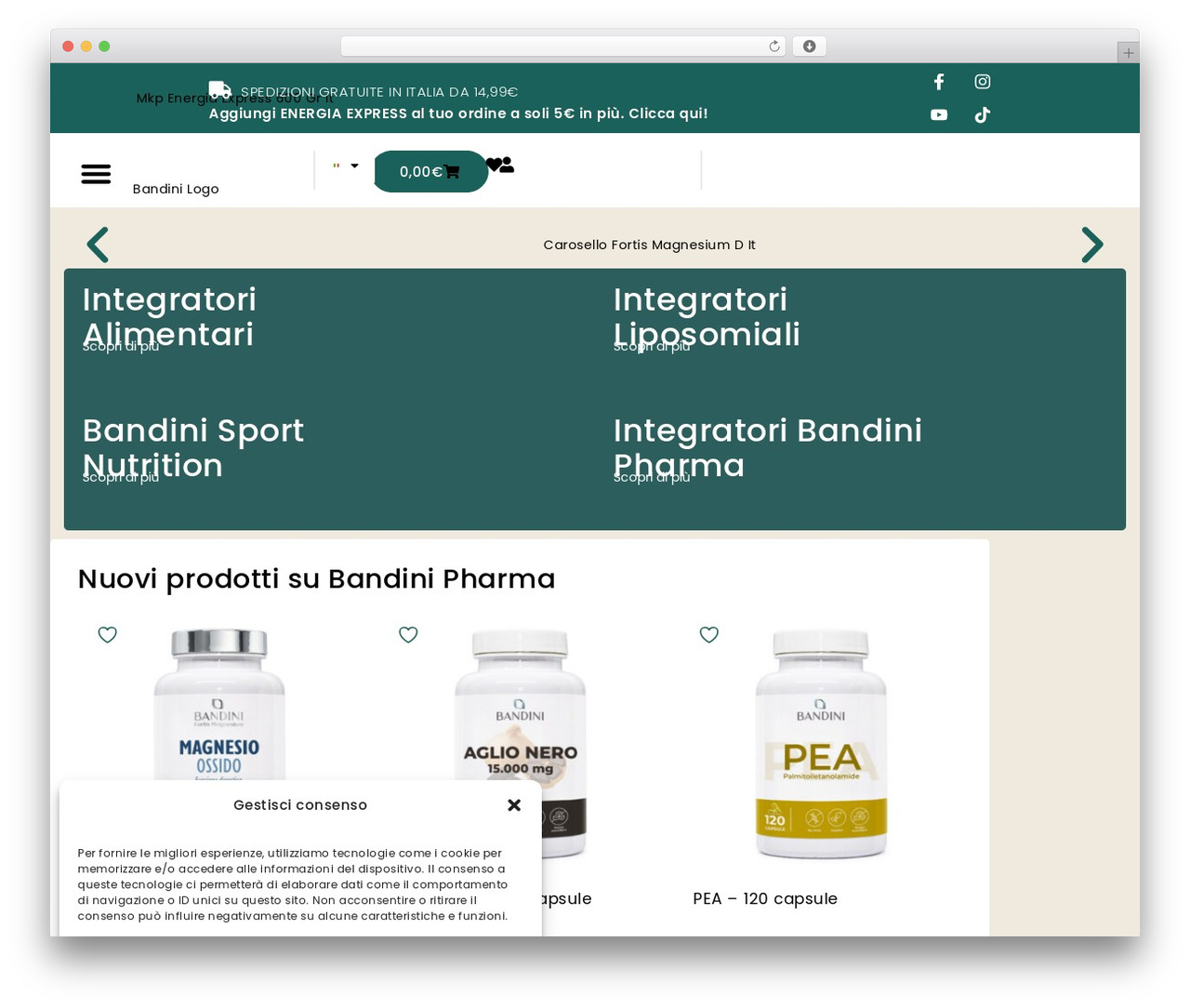 WordPress website theme webMT - www.bandini-pharma.com