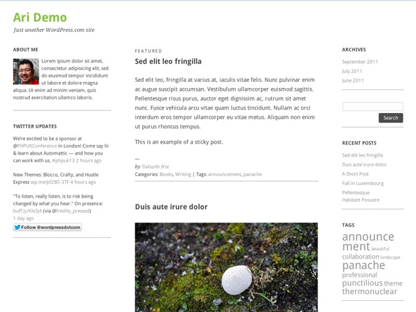 Ari – WordPress.com WordPress blog theme