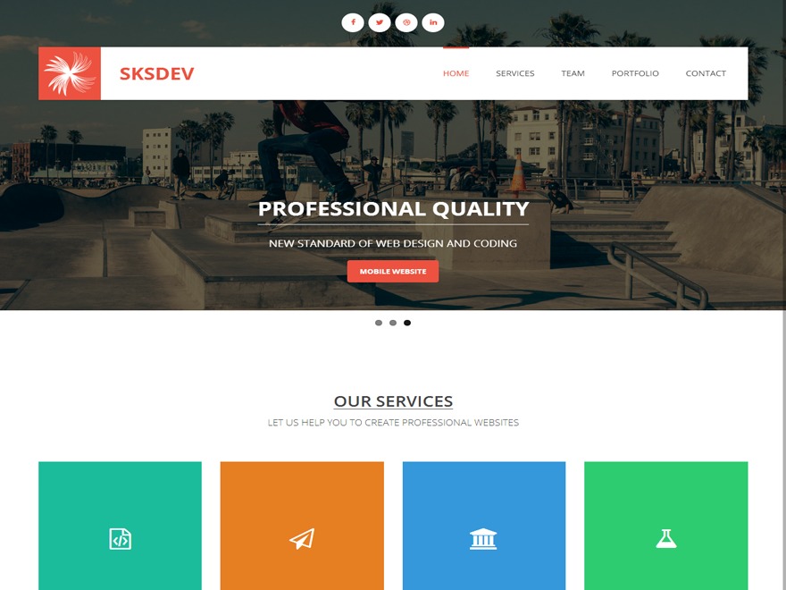 SKSDEV WordPress gallery theme by sksdev